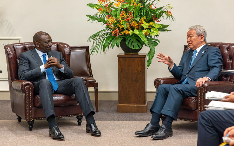 Kenya secures Sh22 billion loan from Japan to boost industry, cut power bills
