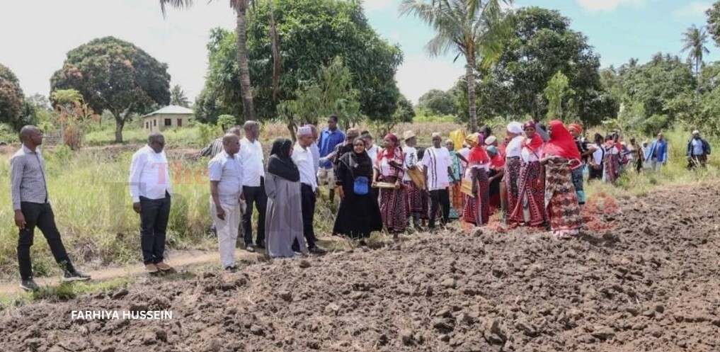 Solar-powered drip irrigation transforms farming in Kwale, ending food shortages