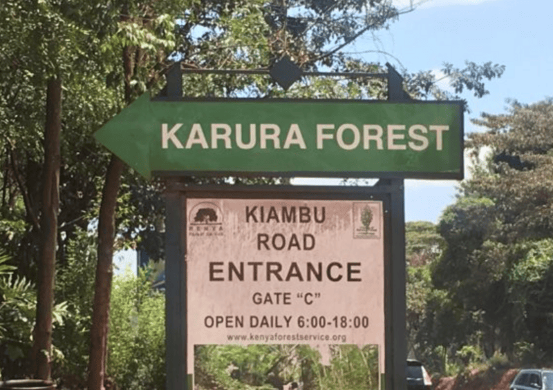 Green Belt Movement, Friends of Karura condemn KFS takeover of the forest