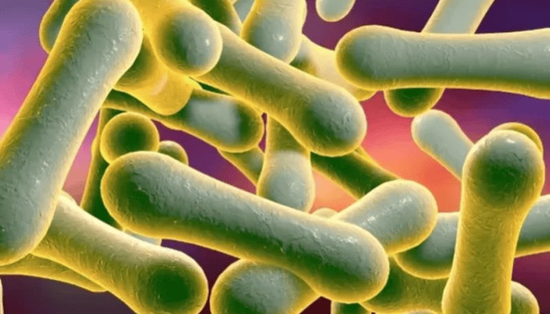 Diphtheria cases surge in Somalia amid sharp US aid cuts
