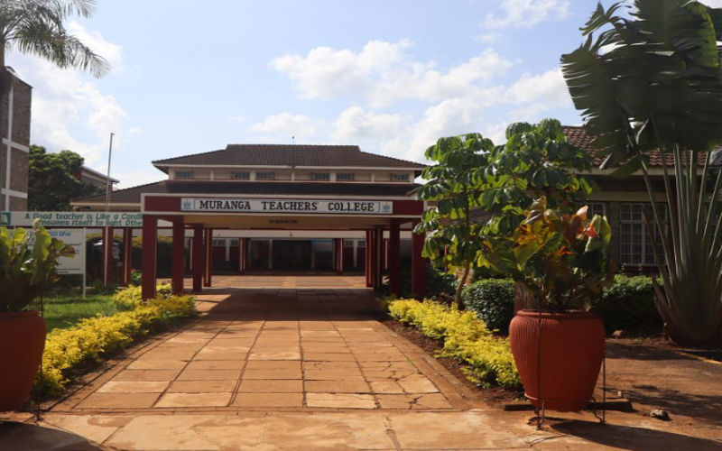 Student numbers triple at TTCs as government eases admission criteria