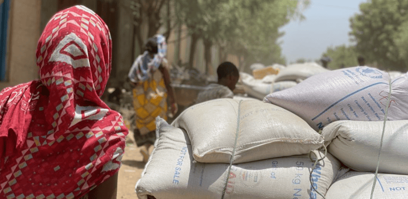 Over one billion Africans unable to afford healthy diet, UN report warns