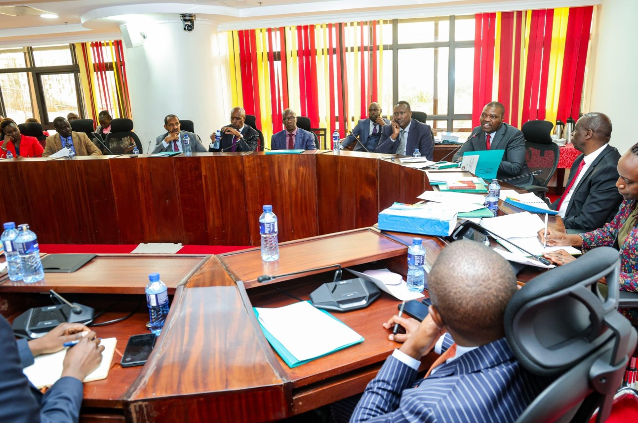 National Assembly annuls 17 government regulations for contravening Constitution