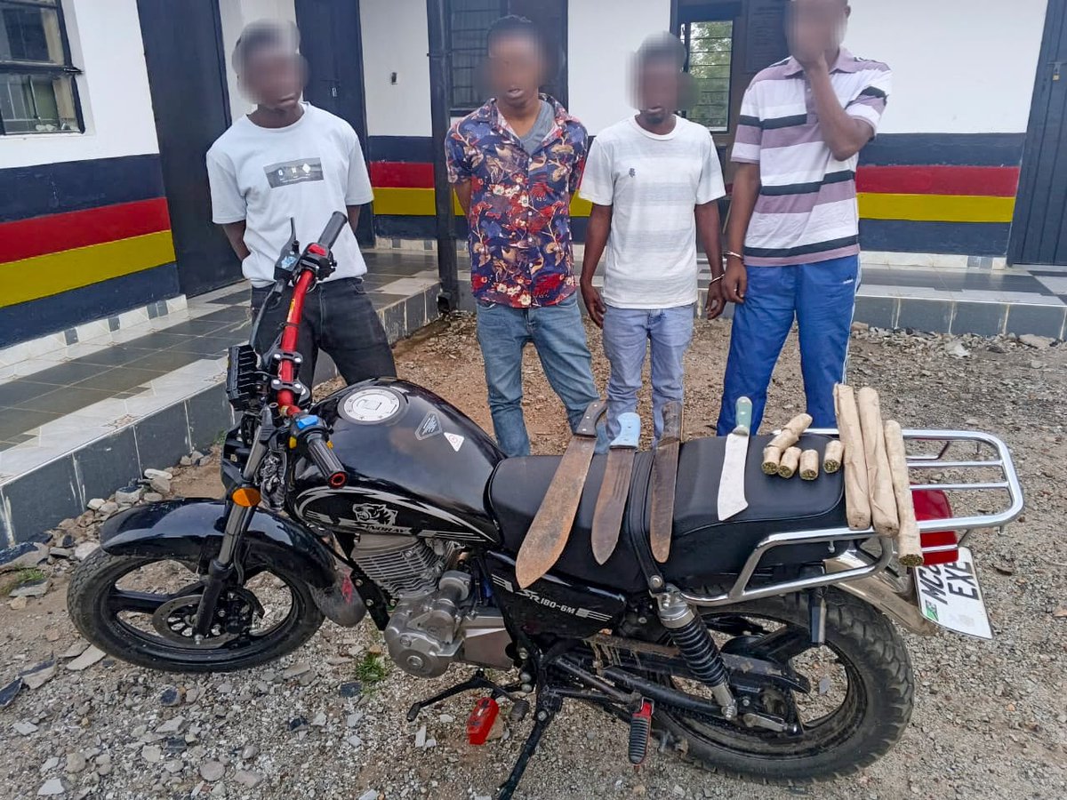 Kwale: Several suspected gang members arrested in major crackdown