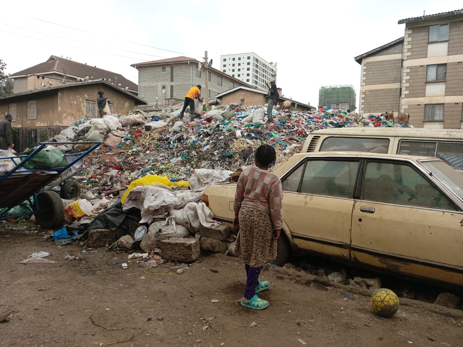 Breeding grounds for danger: How improper waste management drives disease transmission