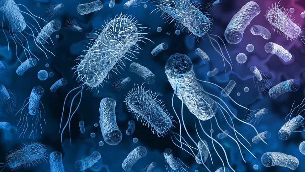 Rising mpox cases, cholera outbreaks and HIV misinformation straining Kenya's public health sector- report