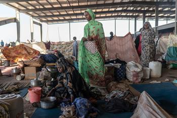 Mounting civilian casualties in Sudan as fighting intensifies