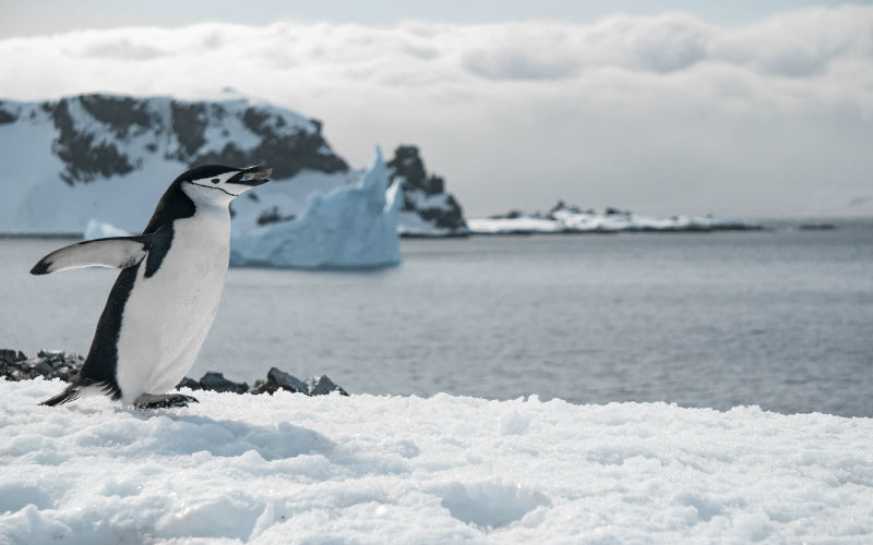From sea ice to ocean currents, Antarctica is now undergoing abrupt changes