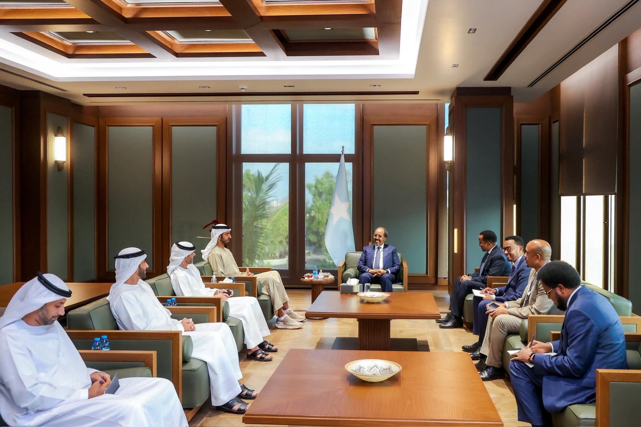 Somali President Hassan Sheikh hosts UAE minister for talks on security, development