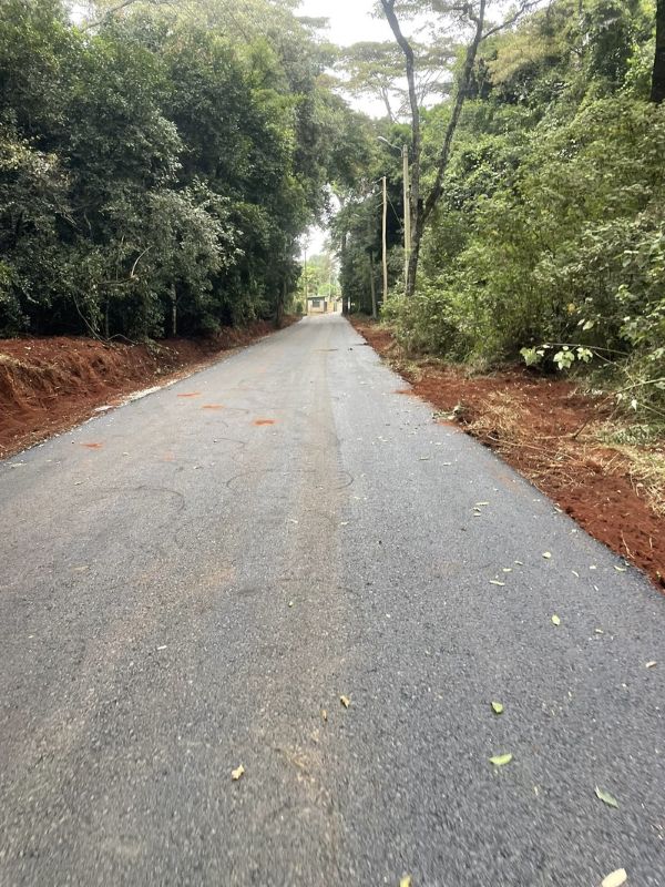 Why we tarmacked a road inside Karura Forest- KFS