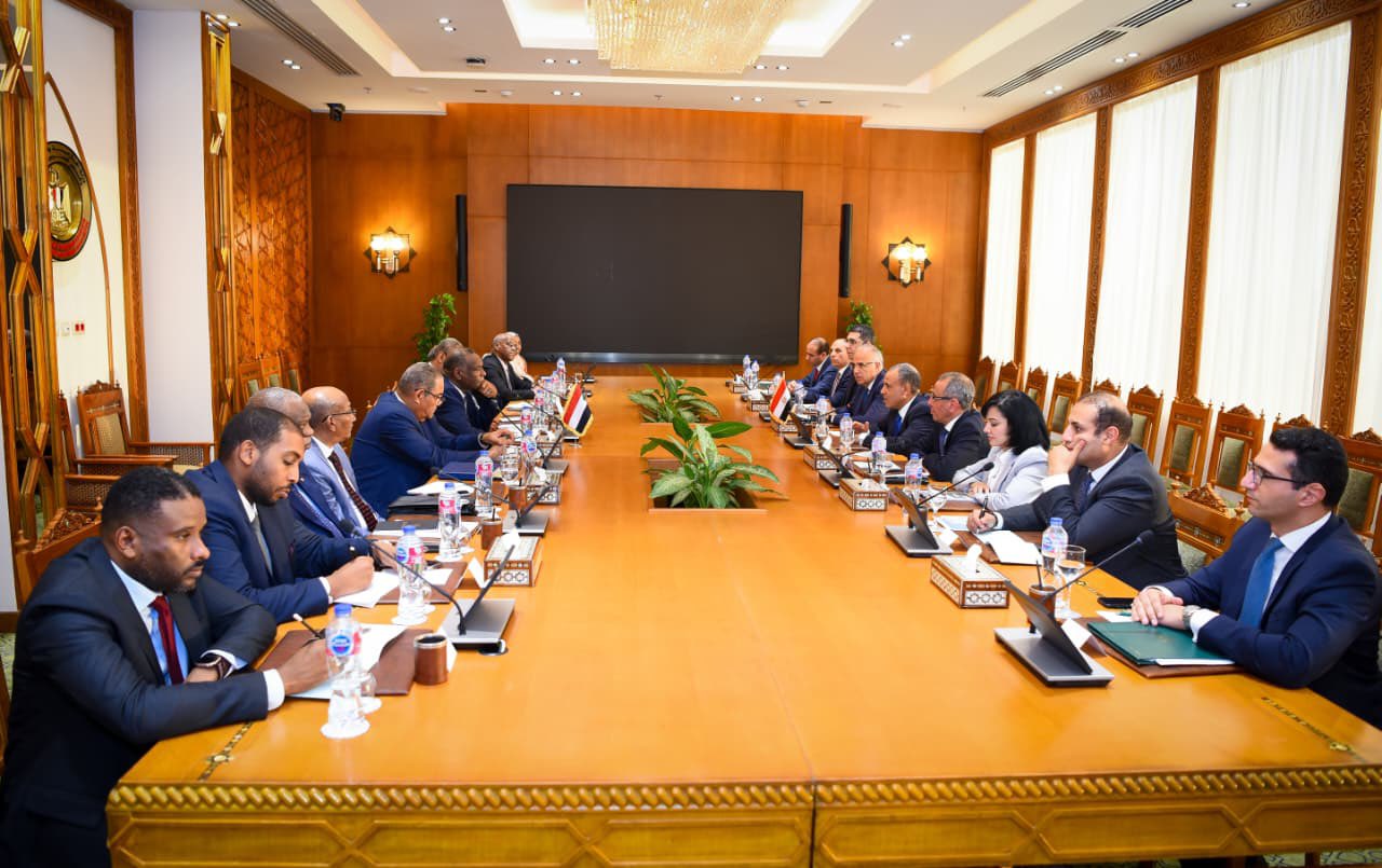Egypt, Sudan discuss Ethiopia's Nile dam, affirm shared water security