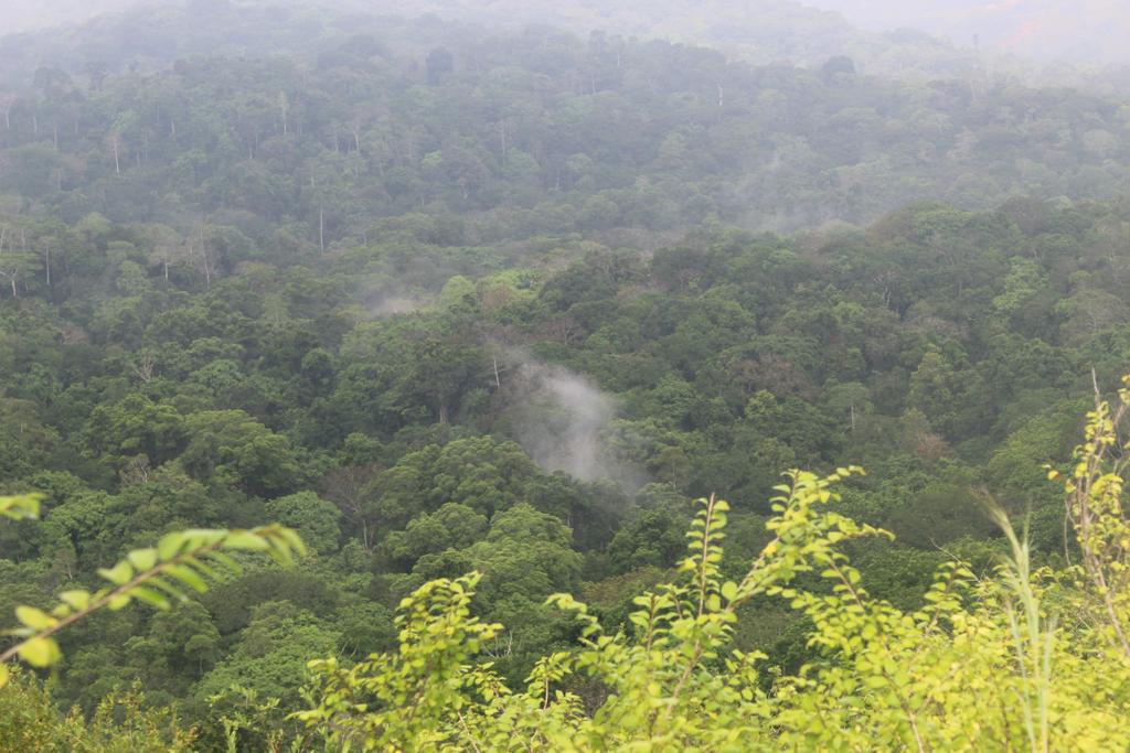Shimba Hills gets 10-year conservation blueprint to safeguard ecosystem