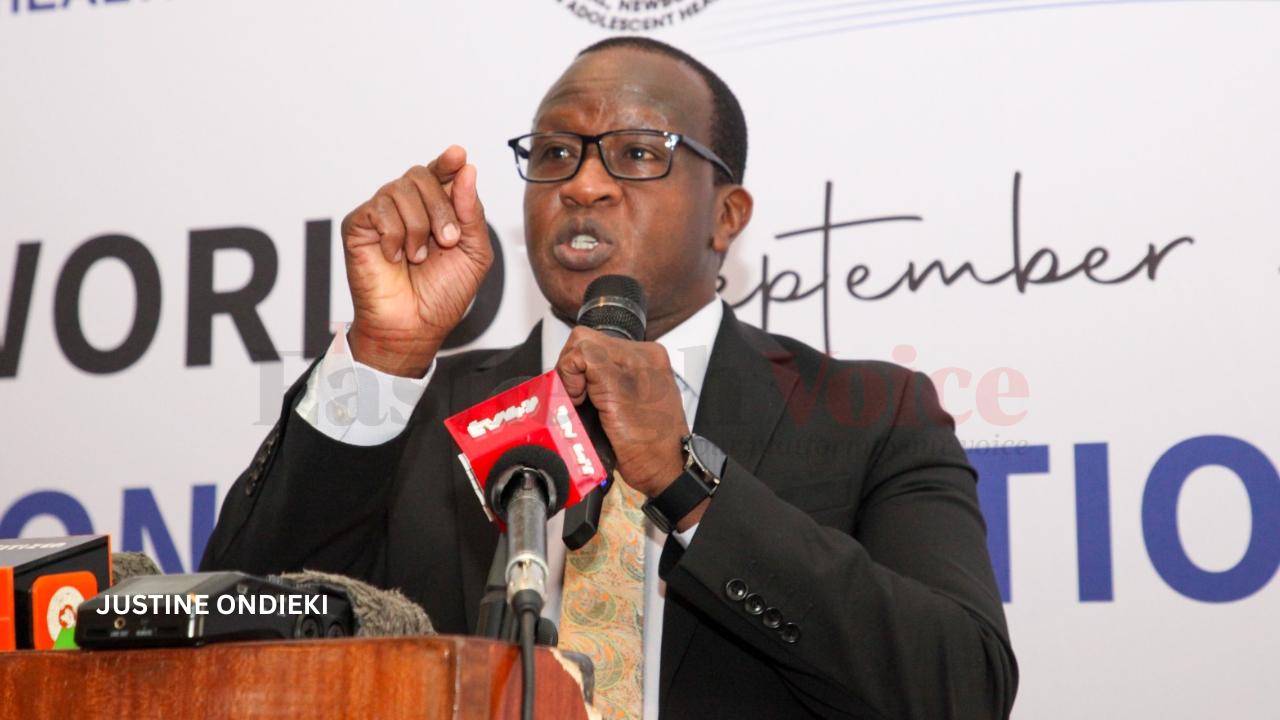 Nearly 50 per cent of Kenyan women choose not to have more children - MoH report