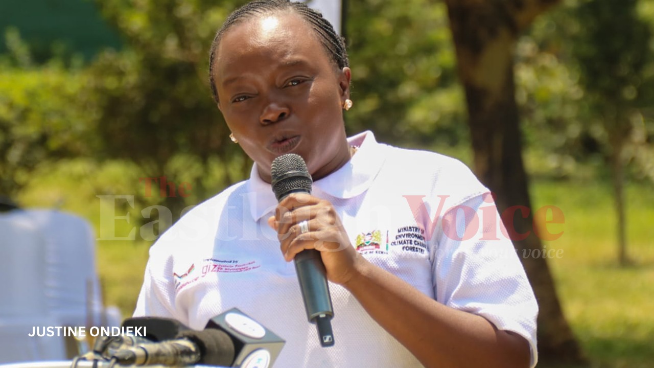 World Ozone Day in Nairobi: Michuki Park highlights 40 years of ozone protection