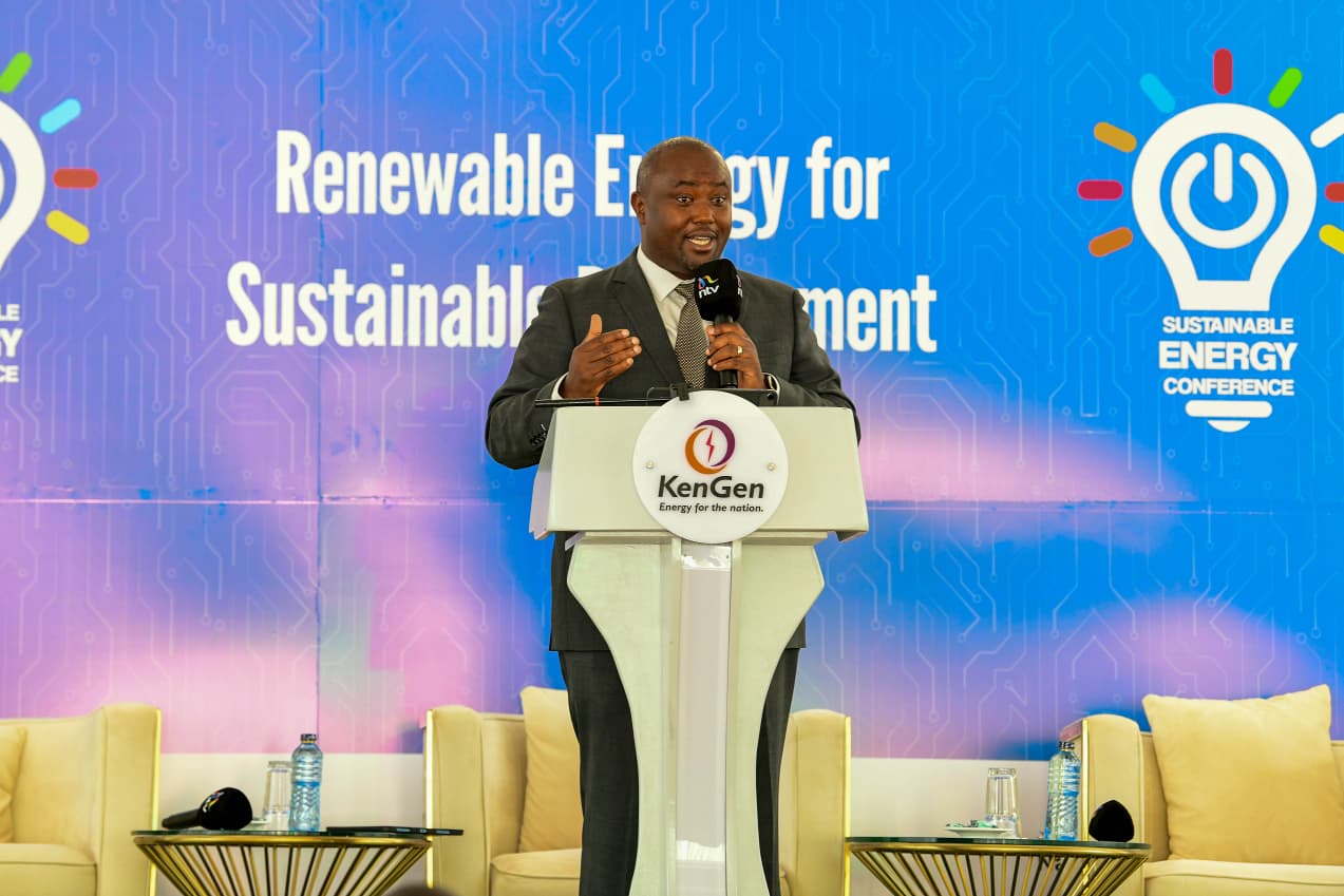 National Assembly urged to end seven-year ban on new power deals to avert rationing