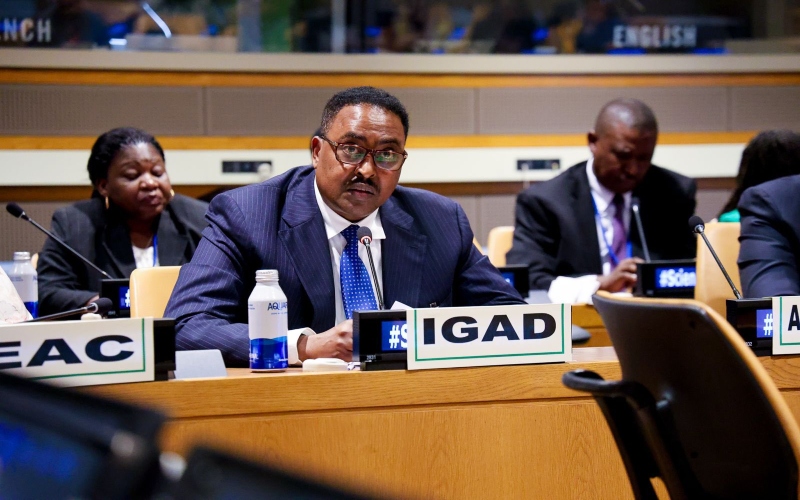 IGAD elevates Horn of Africa agenda at UN General Assembly