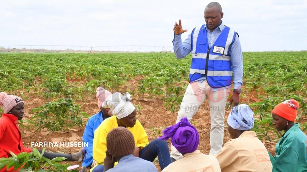 Kenya accelerates Galana-Kulalu irrigation scheme to boost food security