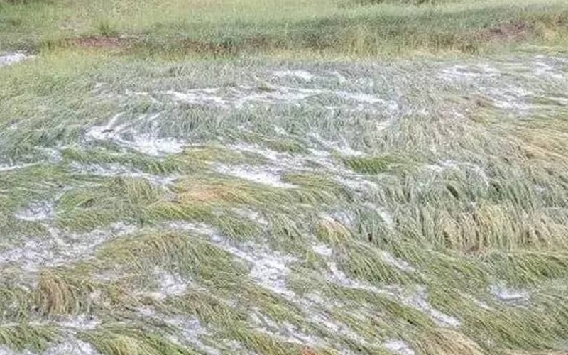 Hailstorms, floods devastate farmlands in Tigray, Amhara regions
