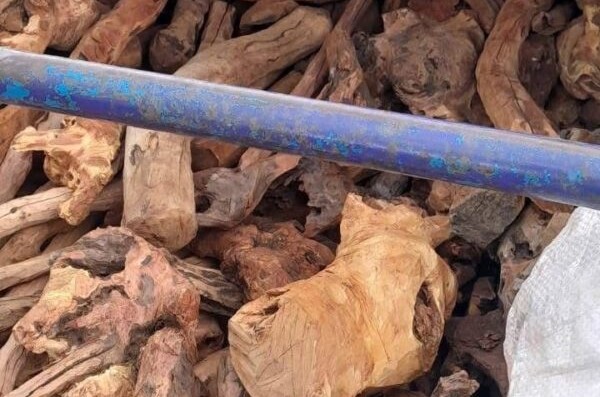 Sandalwood consignment worth Sh7.8 million destroyed in Maralal