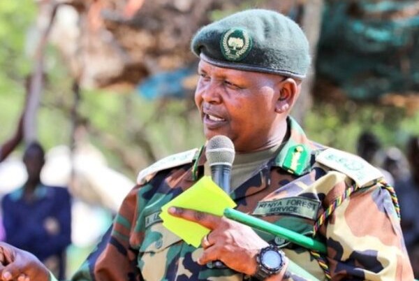 Friends of Karura Forest, KFS in bitter row over alleged funds mismanagement