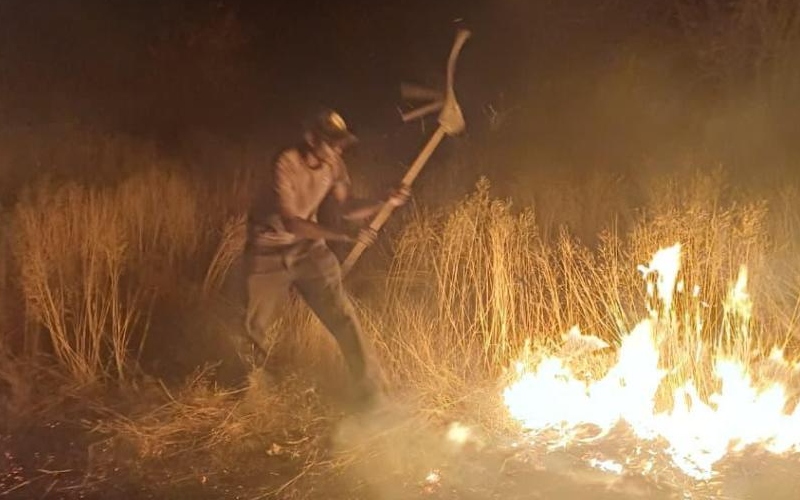 Wildfires burn over 30 per cent of Etosha National Park in Namibia