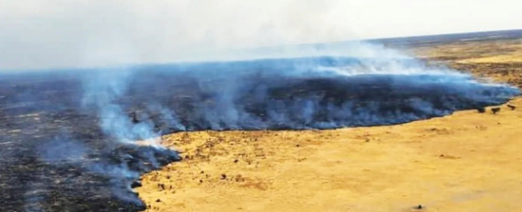 Namibia contains massive Etosha Park wildfire after devastating 34 per cent of reserve