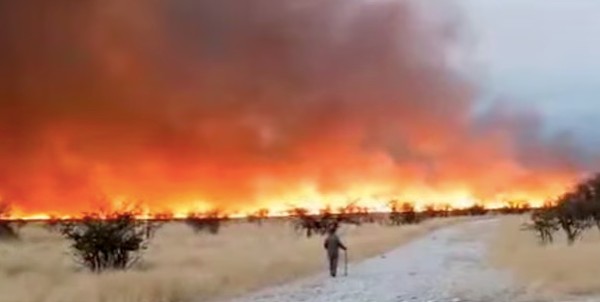 Namibia deploys hundreds of soldiers as wildfire ravages Etosha National Park
