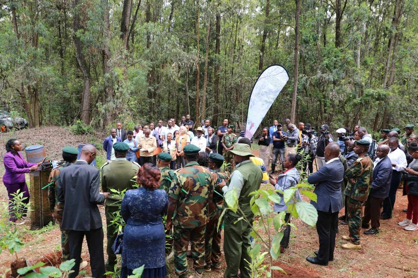 Friends of Karura Forest to sue KFS over "unilateral" eCitizen takeover