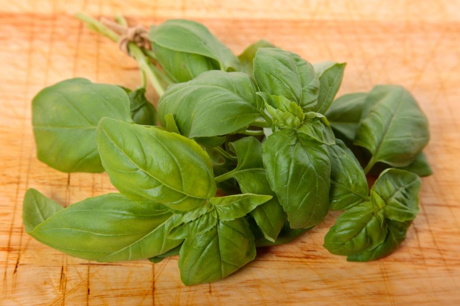 Five healthy reasons to add basil to your meals