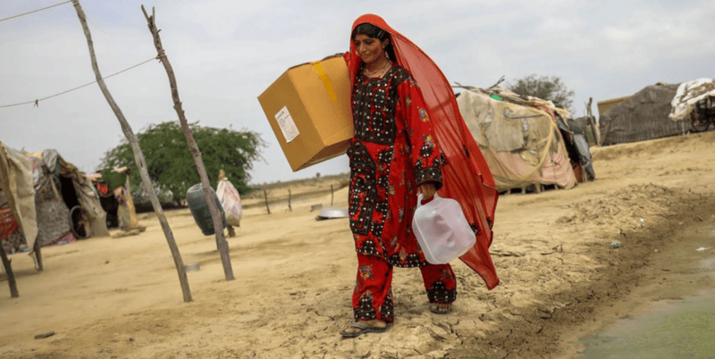 Gender equality: UN Women calls for political will and accelerated global action