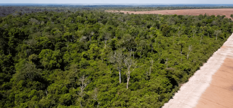 More than 140 environmental defenders killed in 2024