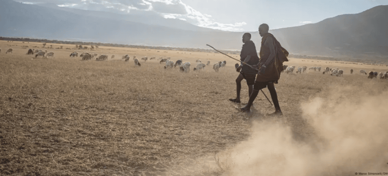 Maasai face pressure as Tanzania eyes relocations