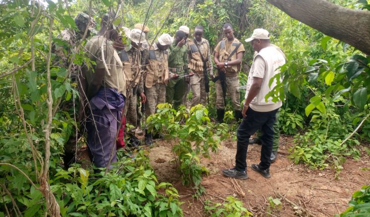 Shimba Hills residents plead for help as human-wildlife conflict escalates