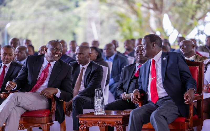 Broad-based government has gained 7 per cent support but faces rising opposition - TIFA