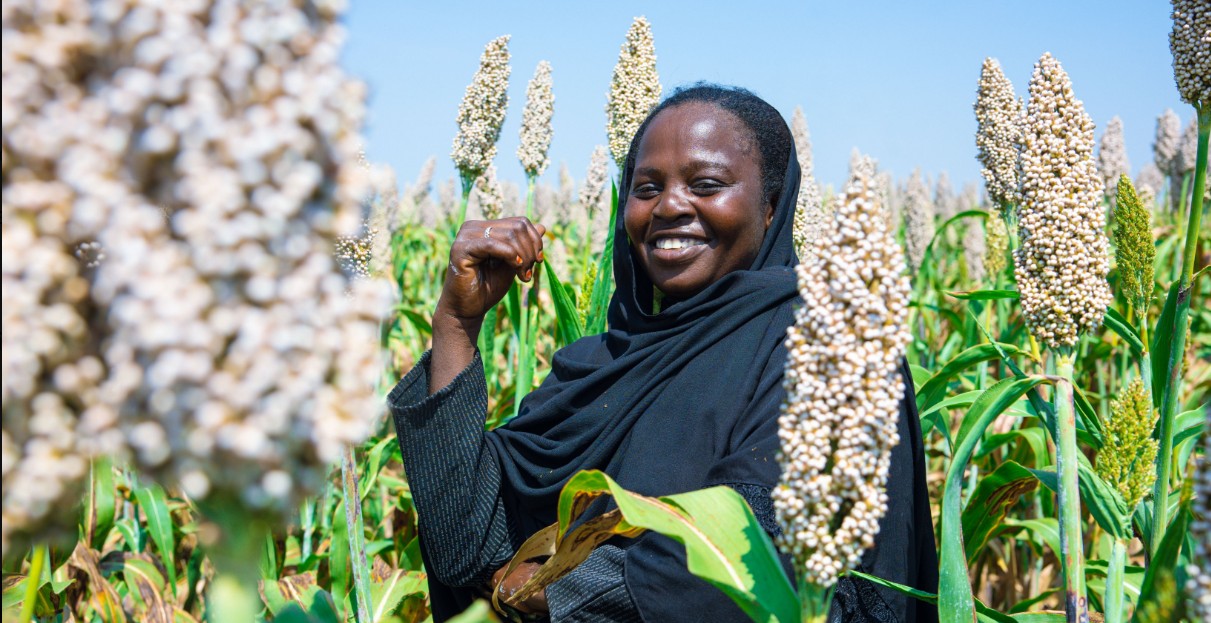 FAO: Women drive Africa’s food systems but face systemic barriers to jobs and land