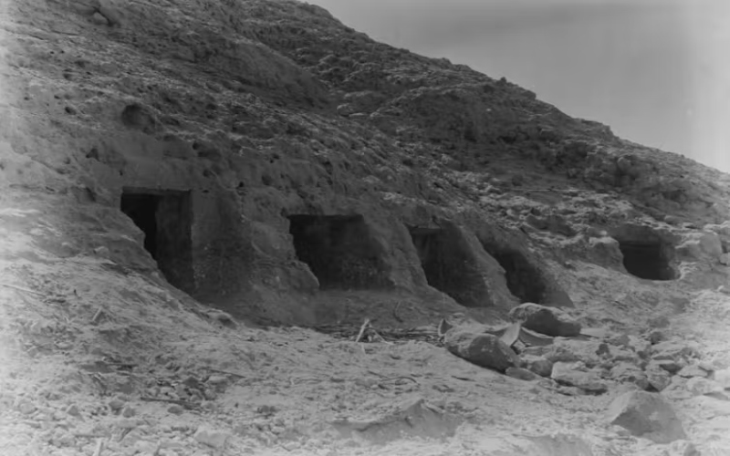 We decoded the oldest genetic data from an Egyptian, a man buried around 4,500 years ago – what it told us