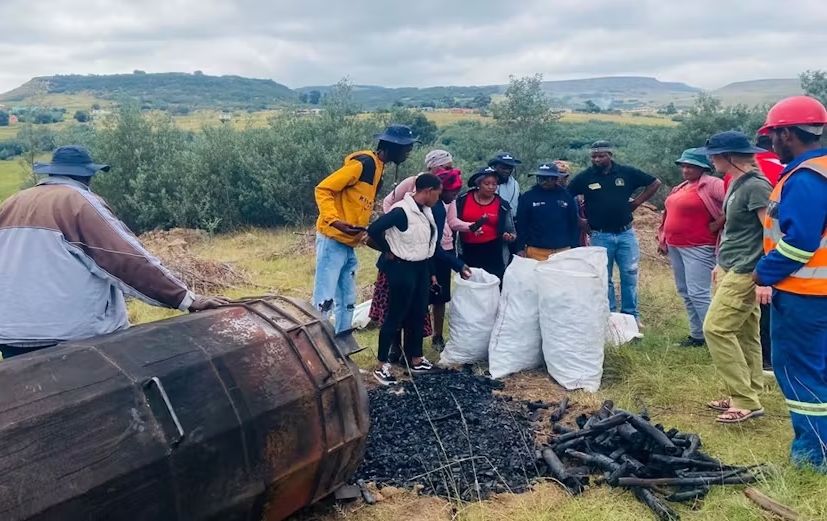Black wattle as firewood: How South African communities are putting invasive species to work
