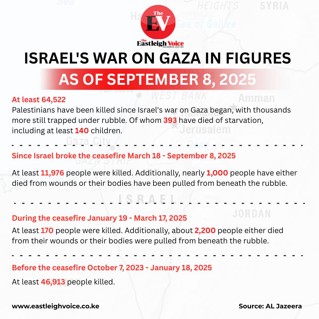 Israel's war on Gaza in numbers