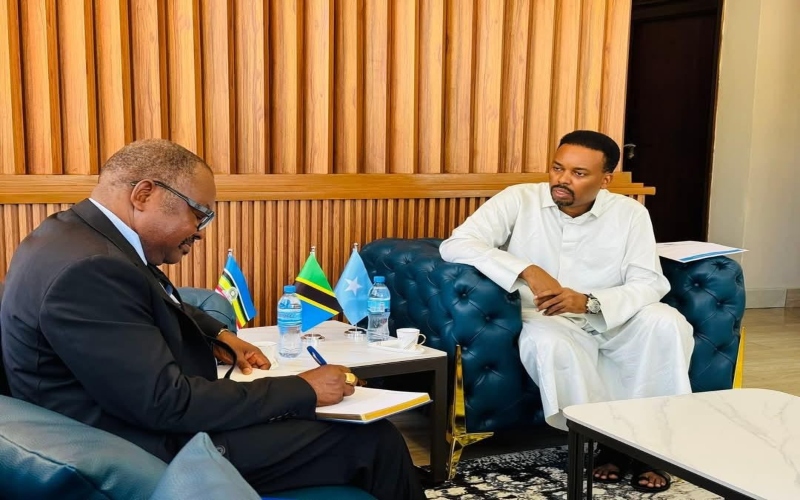 Somalia secures release of more than 50 nationals held in DRC