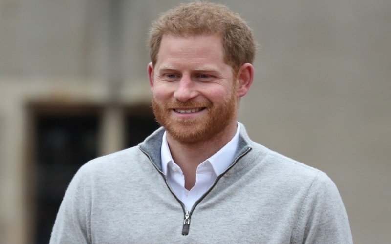 Chad cuts ties with Prince Harry's wildlife charity over alleged poaching