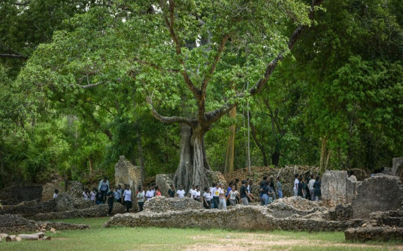 Climate crisis imperils 43 per cent of world heritage sites, says IUCN