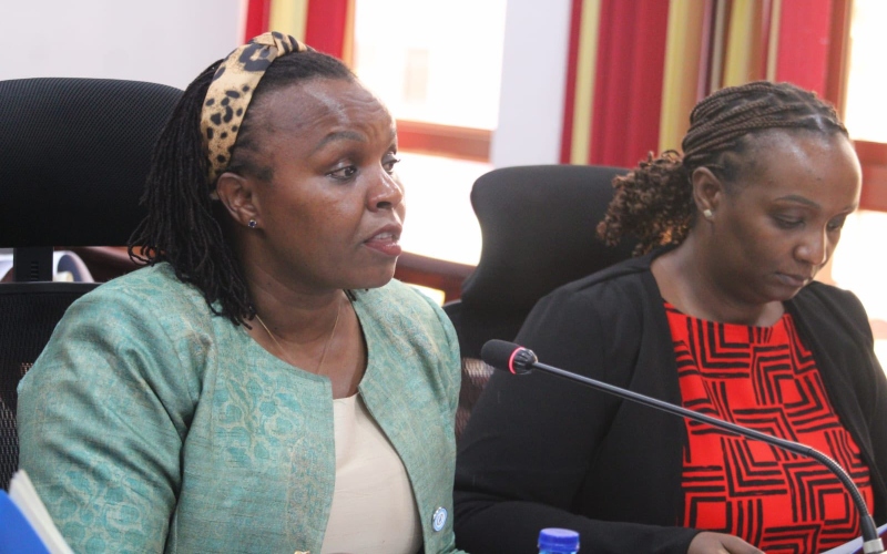Data Commissioner Immaculate Kassait updates parliament on electoral compliance