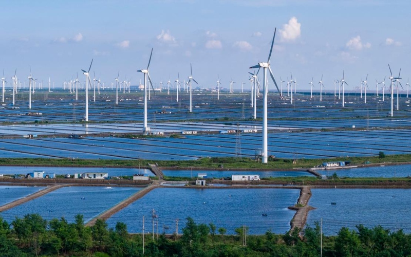 Renewables overtake coal in global electricity generation