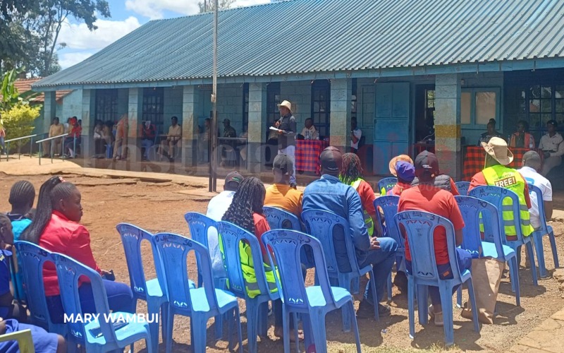 2,000 trees planted in schools on Mazingira Day in Kamukunji