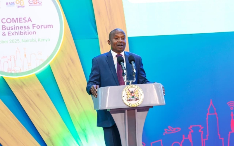 Kenya champions innovation, digital solutions at COMESA summit