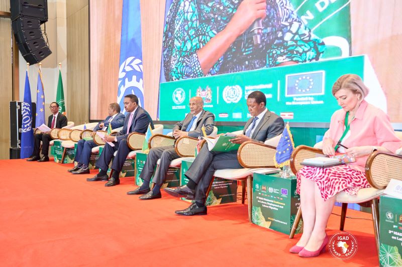 East Africa to simplify cross-border travel and work through IGAD single visa initiative