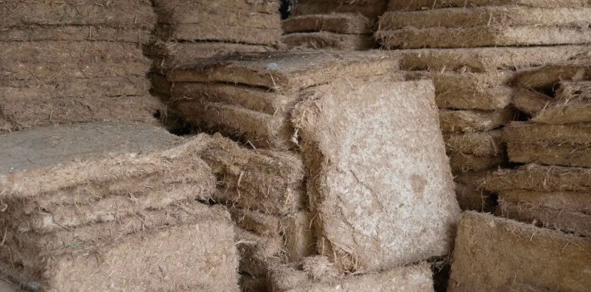 Nairobi innovator turns mushrooms into affordable bricks for Kenya’s housing boom