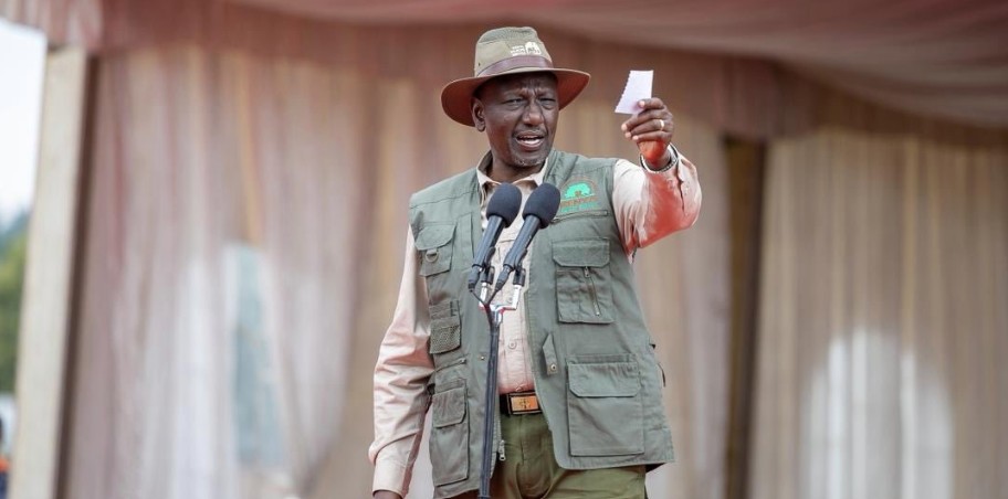 Ruto lifts nationwide logging ban, pledges Kenyan-made furniture revolution