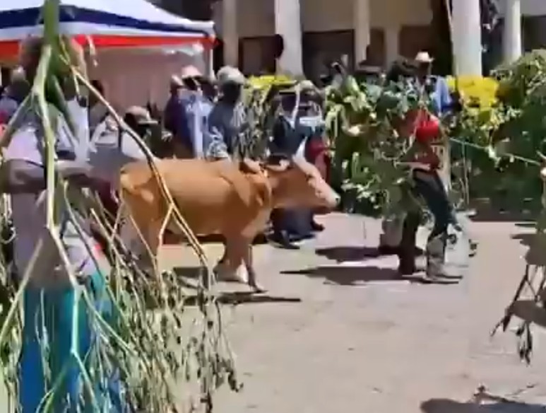 Raila honoured with cultural "Tero Buru" ritual at Opoda homestead