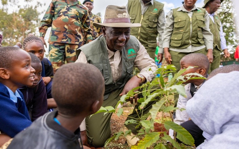 President Ruto launches nationwide drive to plant 2 billion tree seedlings each year